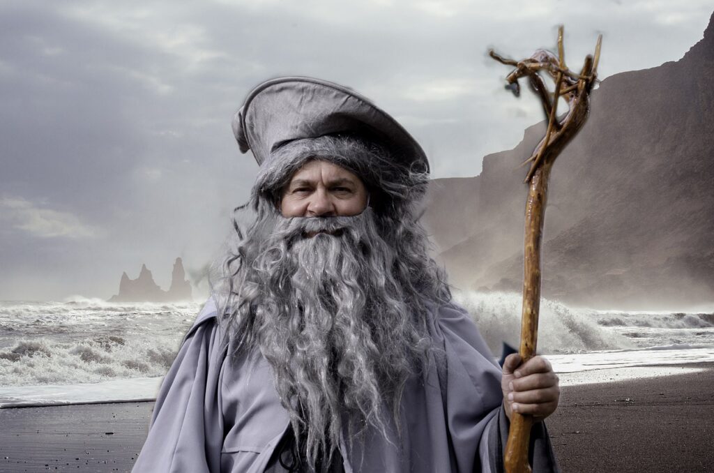 Gandalf Lord Of The Rings Cosplay  - barskefranck / Pixabay