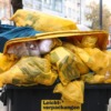 Garbage Garbage Disposal Dumpster  - planet_fox / Pixabay