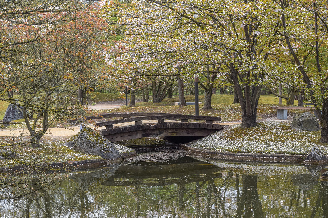Garden Nature Spring Park  - Ben_Kerckx / Pixabay