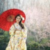 Geisha Kimono Umbrella Parasol  - sasint / Pixabay