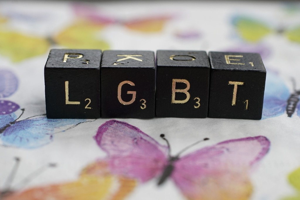 Gender Equality Lgbt Pride Equality  - jhenning / Pixabay