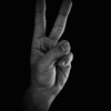 Gesture Fingers  - Victoria_Borodinova / Pixabay