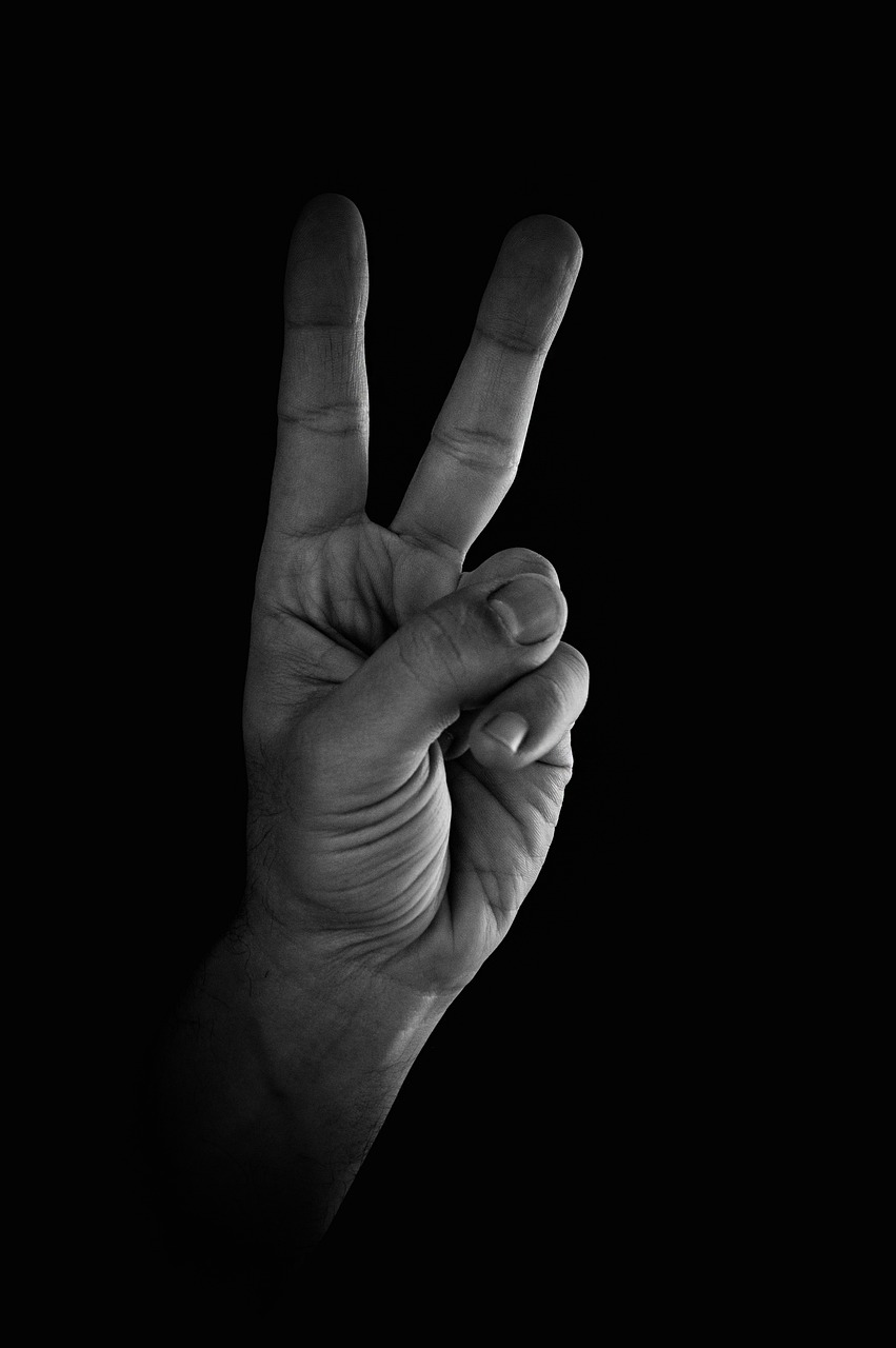 Gesture Fingers  - Victoria_Borodinova / Pixabay