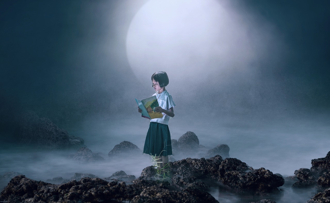 Girl Book Schoolgirl Reading Rocks  - darksouls1 / Pixabay