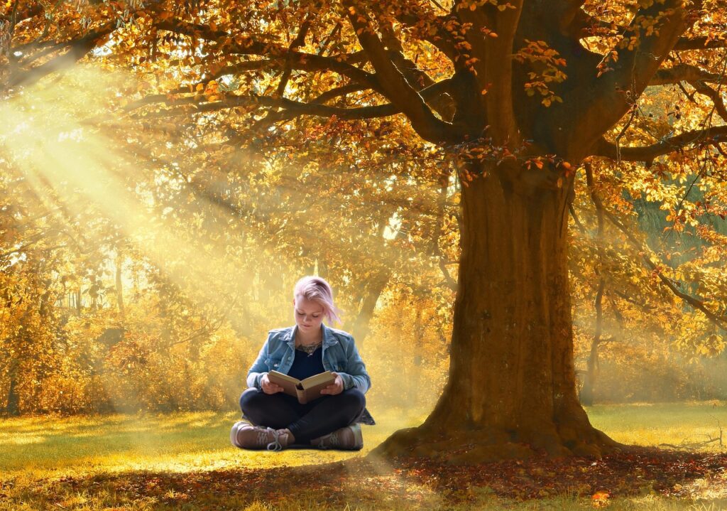 Girl Book Tree Reading Imagination  - Tumisu / Pixabay