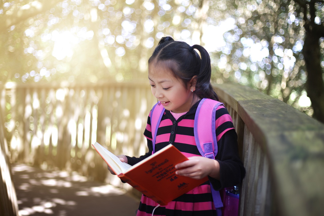 Girl Reading Book Outdoors Reading  - chhouknet / Pixabay
