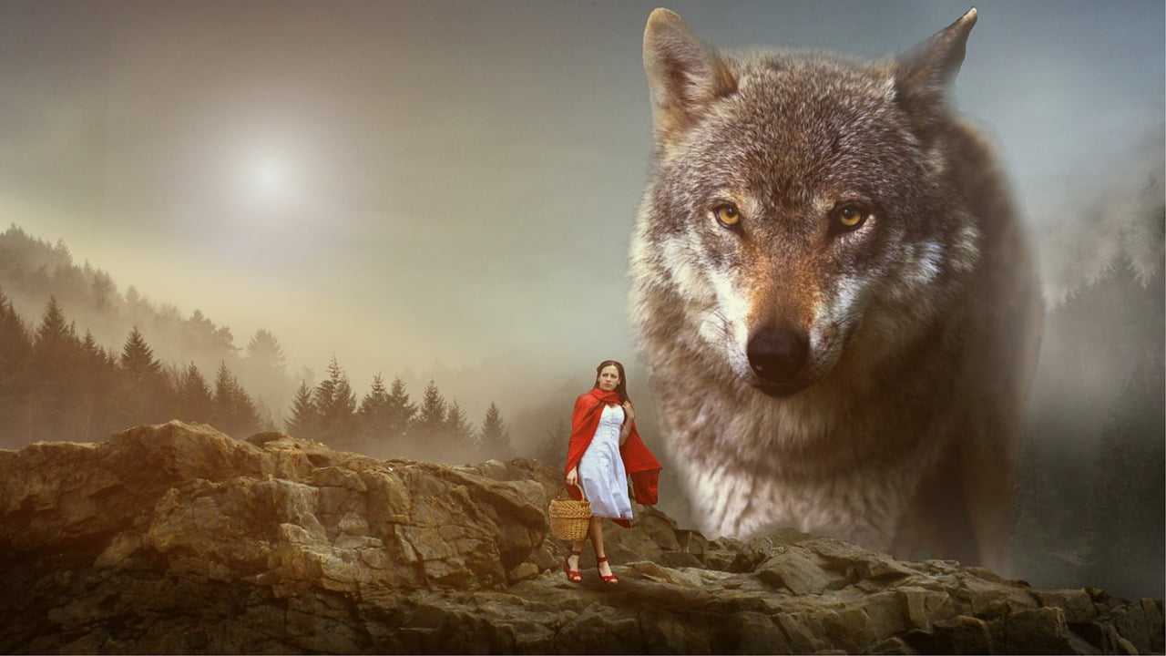 Girl Red Cap Wolf  - Eagle_Arts / Pixabay
