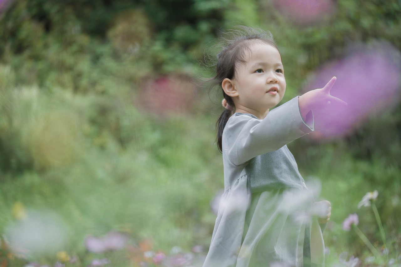 Girl Rock Paper Scissors Meadow  - b13923790 / Pixabay