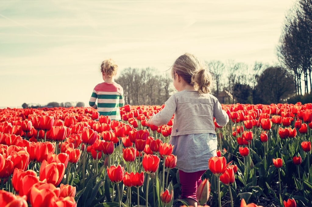 girls children tulips red tulips 739071