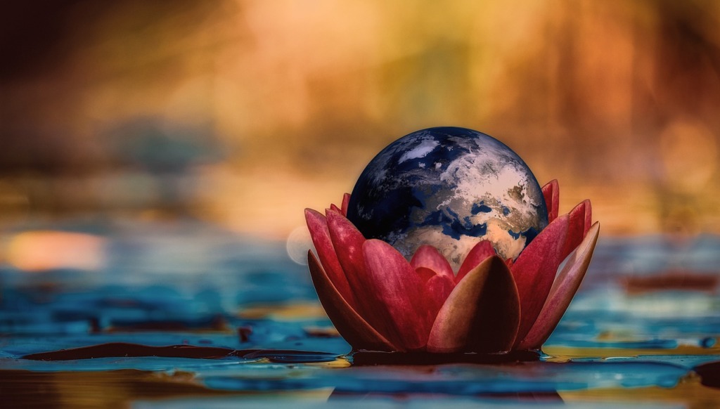 Globe Water Lily Flower Earth  - geralt / Pixabay