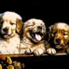 Golden Retriever Puppy Young Dog  - ArtTower / Pixabay