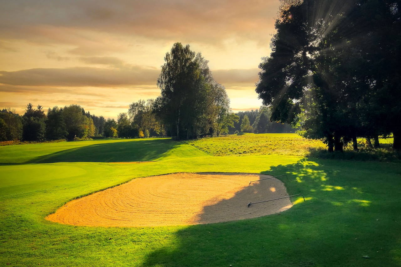 Golf Course Meadow Lawn Grass  - fietzfotos / Pixabay