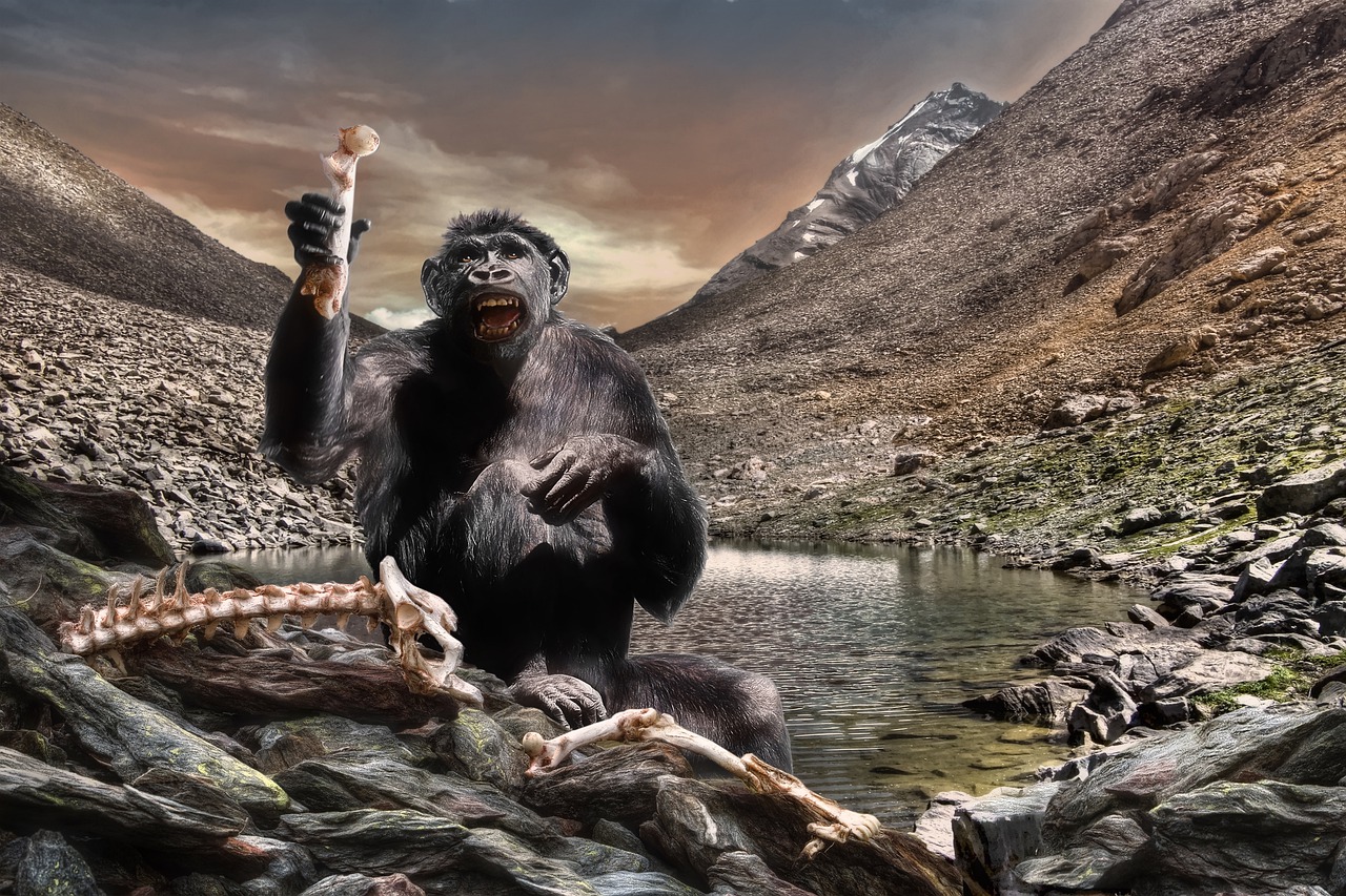 Gorilla Monkey Hominid  - Camera-man / Pixabay