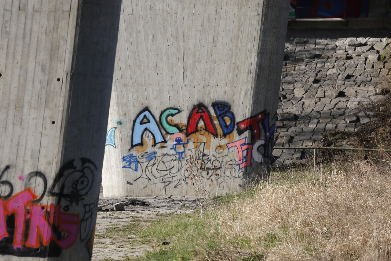 Grafitti Wall Bridge Art  - schauhi / Pixabay