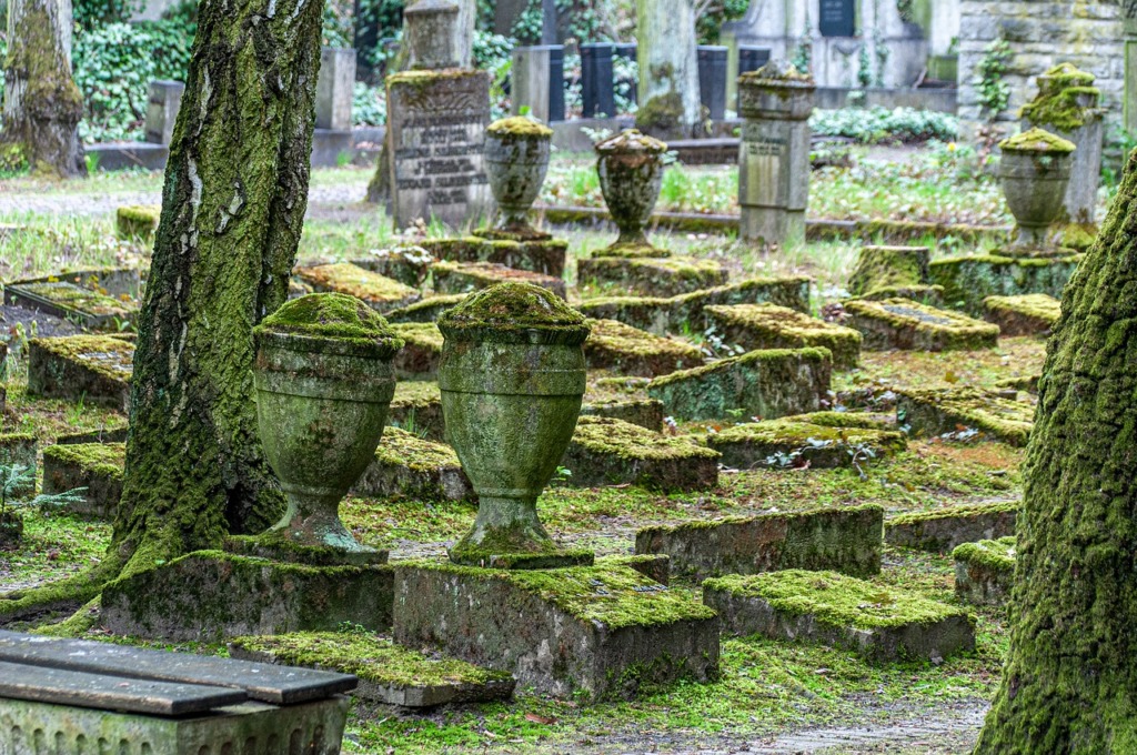 Graves Graveyard Overgrown  - wal_172619 / Pixabay