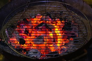 Grill Charcoal Fire Flame Barbecue  - matthiasboeckel / Pixabay