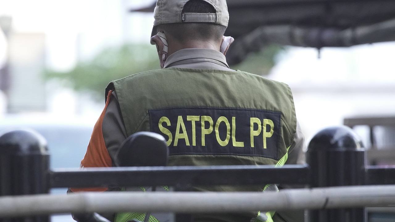 Guard Police Security Officer  - MahmurMarganti / Pixabay