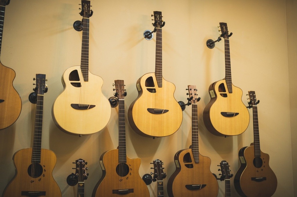 Guitar Strings Music Instrument  - tianya1223 / Pixabay
