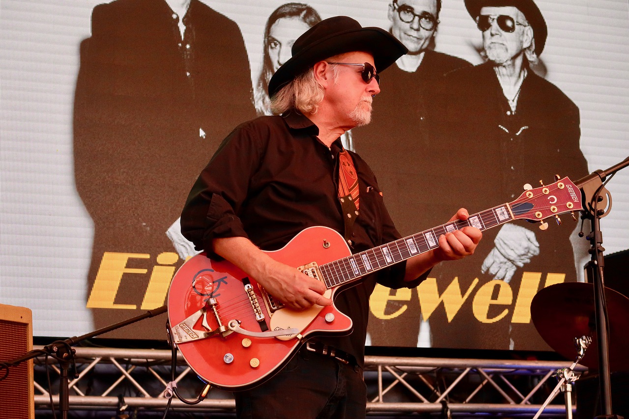 Guitarist Music Musical Instrument - Fritz_the_Cat / Pixabay