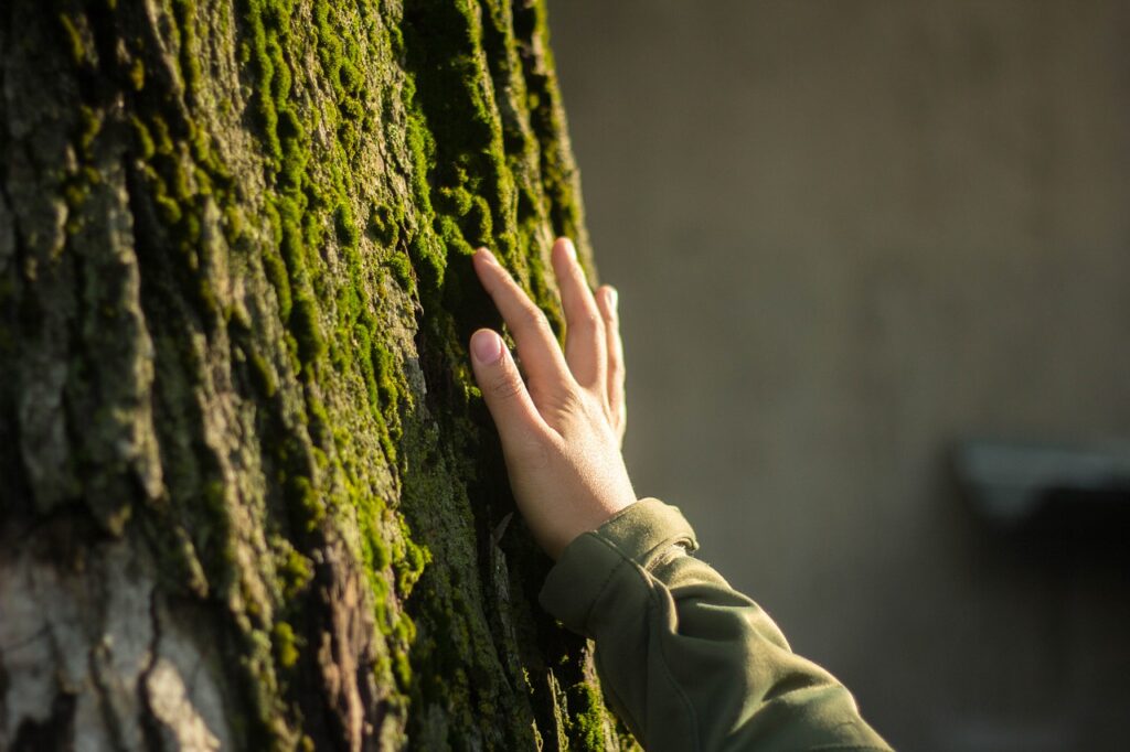 Hand Fingers Girl Moss Tree Trunk  - deb_qep / Pixabay