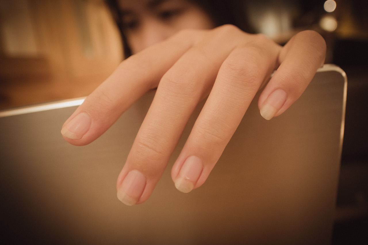 Hand Laptop Girl Fingers  - Canis24 / Pixabay