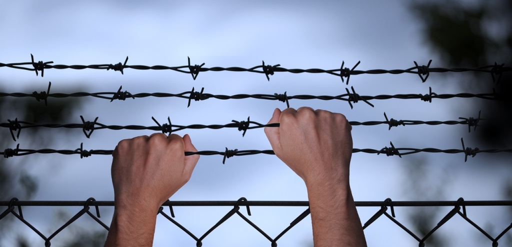 Hands Barbed Wire Trapped War  - geralt / Pixabay