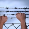 Hands Barbed Wire Trapped War  - geralt / Pixabay