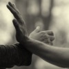Hands Martial Arts Qi Gong Taiji  - Kampfkunstbewegung / Pixabay