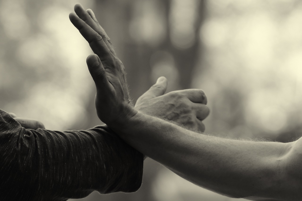 Hands Martial Arts Qi Gong Taiji  - Kampfkunstbewegung / Pixabay