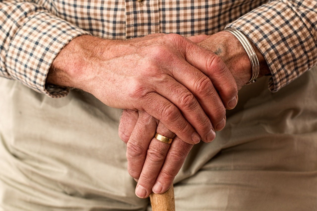Hands Walking Stick Elderly  - stevepb / Pixabay