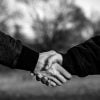 Handshake Shaking Hands Hands  - un-perfekt / Pixabay