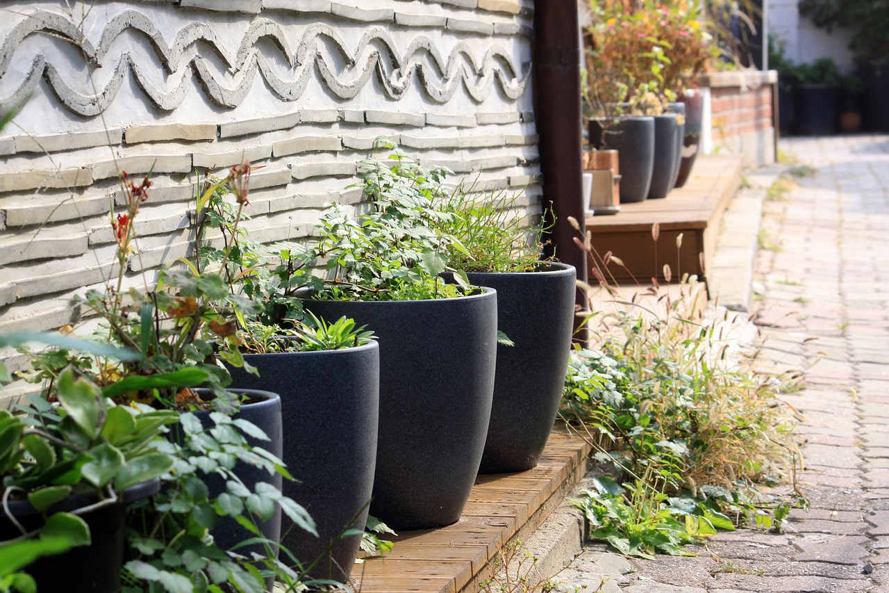 Hanok Garden Jar Republic Of Korea  - Gray_Rhee / Pixabay