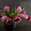happy mothers day flower plant 3084624