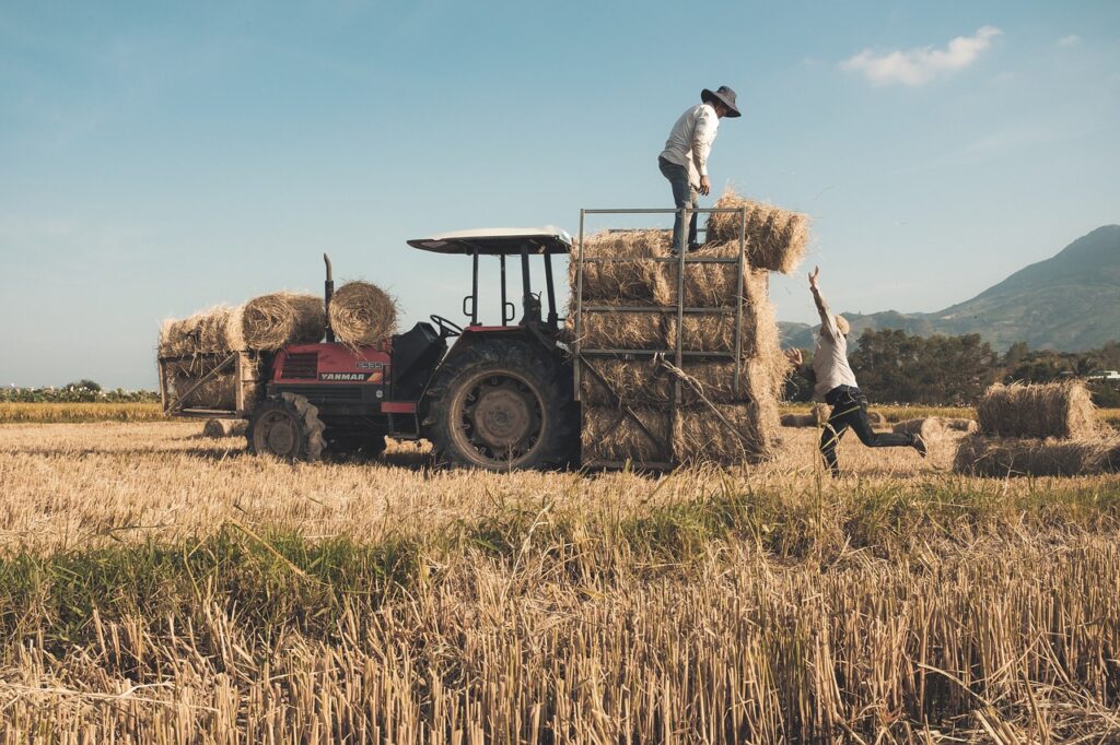 Hay Bales Tractor Rice Field  - TRANPHUCPhoto / Pixabay