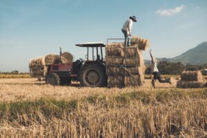 Hay Bales Tractor Rice Field  - TRANPHUCPhoto / Pixabay