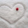 Heart Snow Drawn In The Snow  - ivabalk / Pixabay
