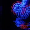 blue and red wyrm dragon light decor