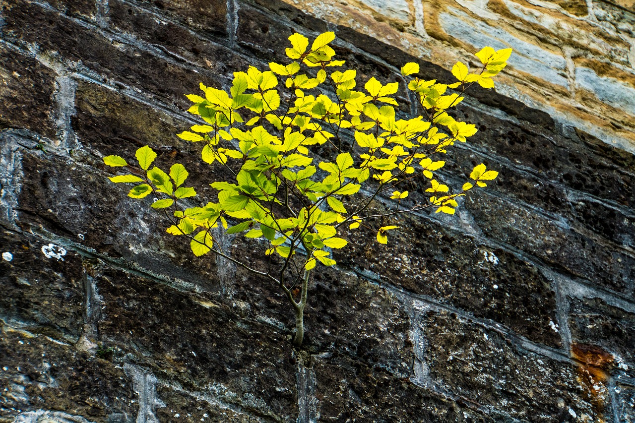 Hohenzollern Castle Swabian Alb  - MyriRoet / Pixabay