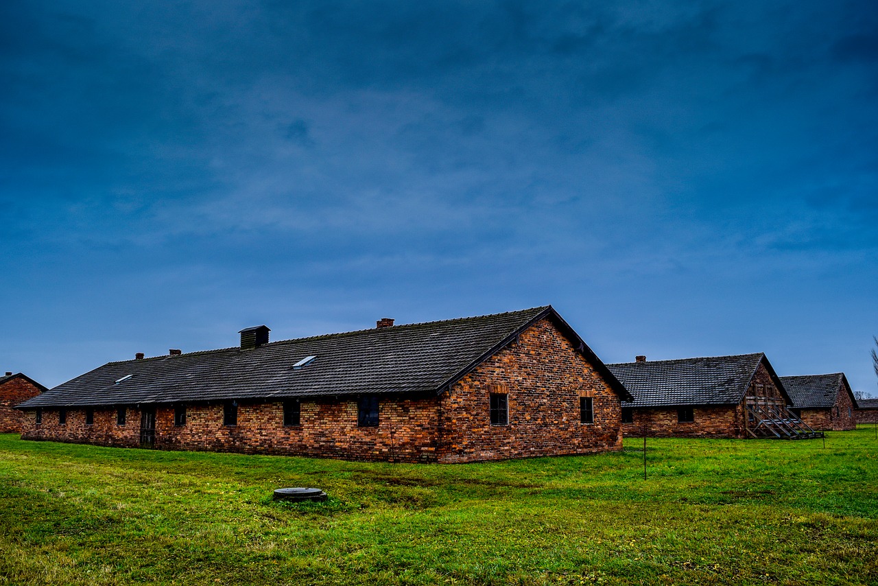 Holocaust Poland Camp Concentration  - leninscape / Pixabay