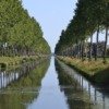 Hoofdvaart Canal Trees Hoofddorp  - SailorWim / Pixabay