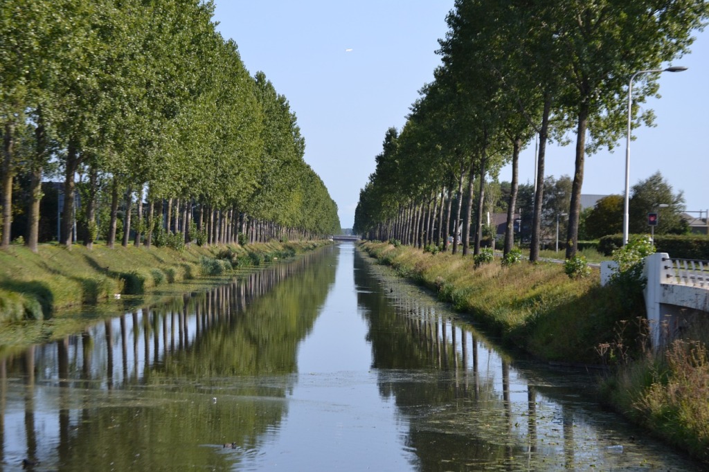 Hoofdvaart Canal Trees Hoofddorp  - SailorWim / Pixabay