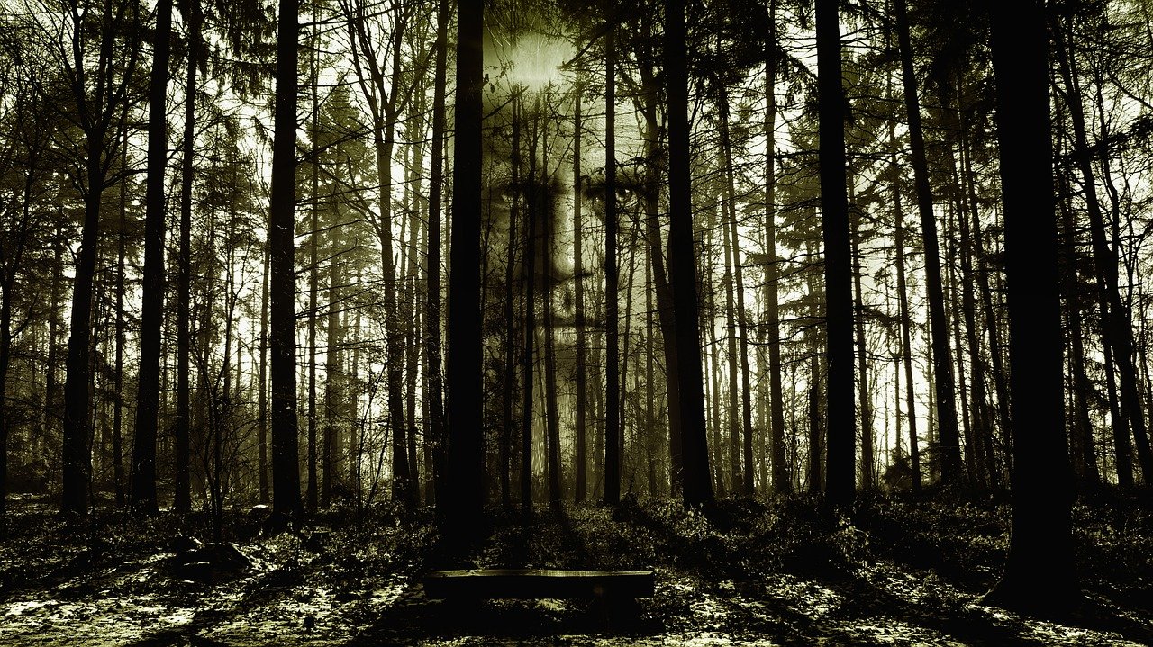 Horror Face Forest Spirit Zombi  - geralt / Pixabay