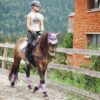 Horse Reiter Pony Horsewoman Ride  - Pezibear / Pixabay