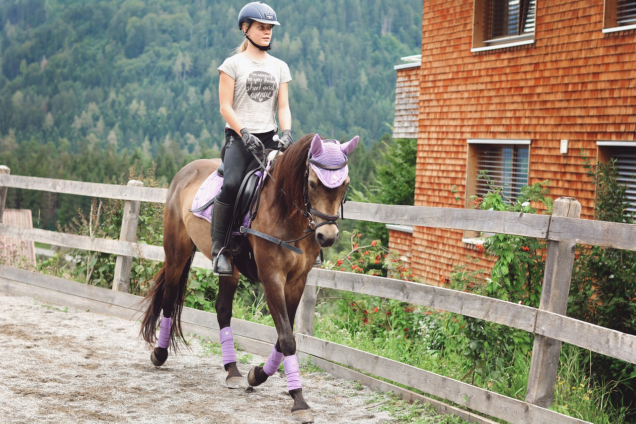 Horse Reiter Pony Horsewoman Ride - Pezibear / Pixabay