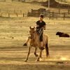 Horseman Horse Rider Horseback  - Erdenebayar / Pixabay