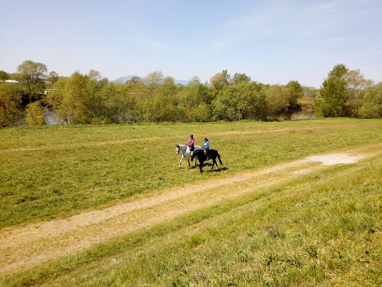 Horses Riding Nature Outdoors  - LukaJagor / Pixabay