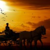 Horses Sunset Horse And Cart  - dendoktoor / Pixabay