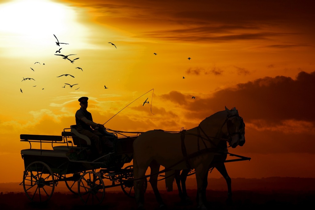Horses Sunset Horse And Cart  - dendoktoor / Pixabay