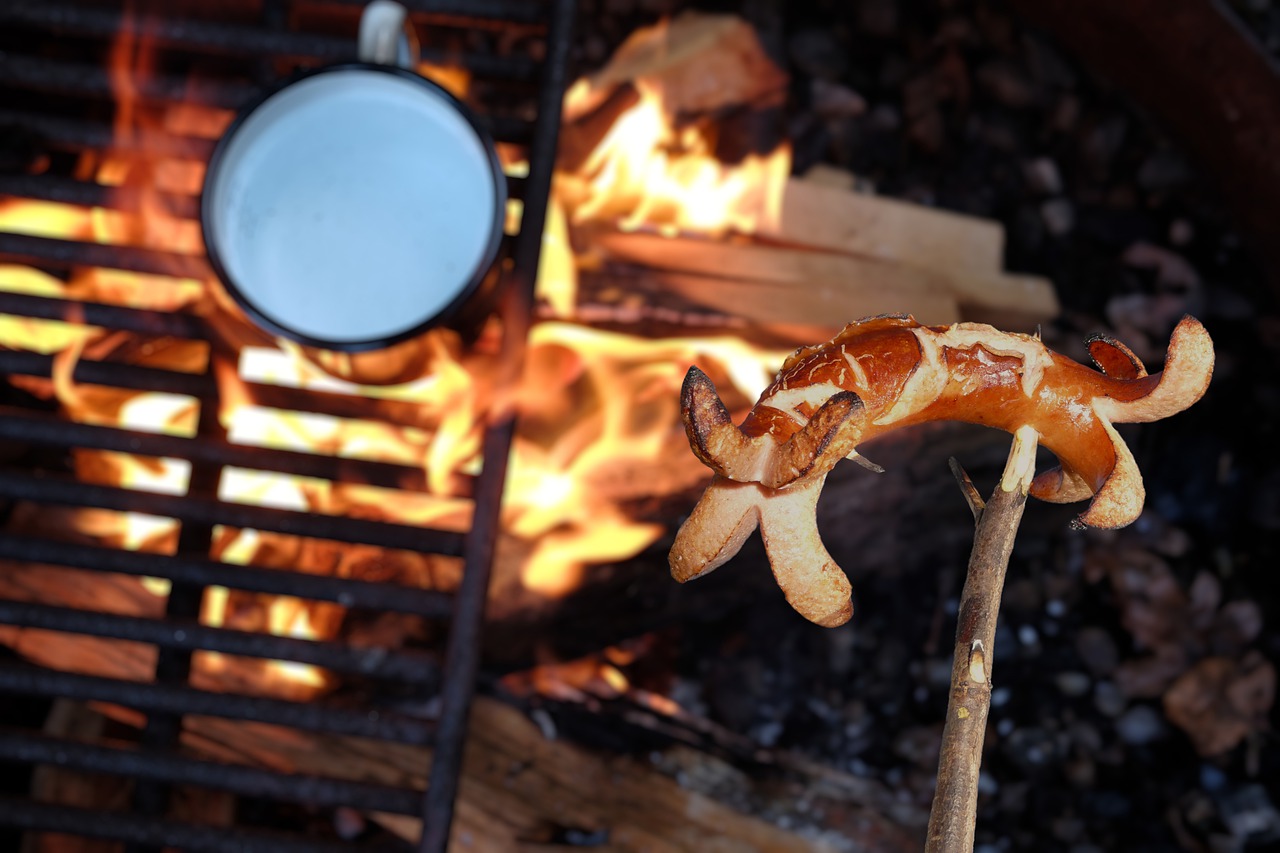 Hot Dog Food Campfire Roasted  - flutie8211 / Pixabay