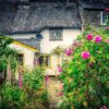 House Garden Front Yard Flowers  - fietzfotos / Pixabay